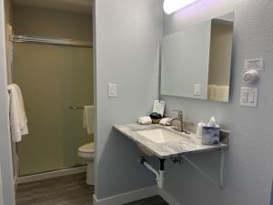 a bathroom with a sink and a toilet and a mirror at Motel Tipton in Tipton +9 photos