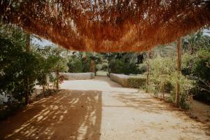 Fotografie z fotogalerie ubytování Hotel Boutique Hort de Nal v destinaci Elche