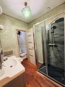 a bathroom with a shower and a sink and a toilet at Cubiculla Monte Mario in Rome