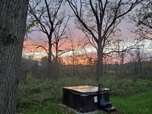 Foto dalla galleria di Mill Creek Cabins a Lodi