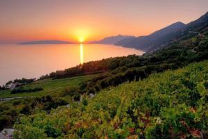 Fotografie z fotogalerie ubytování Villa Maestro v destinaci Sreser