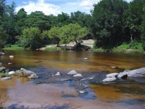 a river with rocks and trees in the background at Cabaña Tala Huasi in Villa Icho Cruz