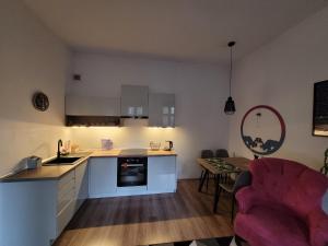 Kuchyň nebo kuchyňský kout v ubytování Ajncla na Bogucicach