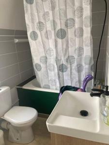 a bathroom with a sink and a toilet and a shower curtain at Le Terracotta - joli duplex centre ville in Cherbourg en Cotentin