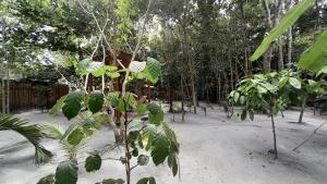 Um jardim em Chalés Guigó-Cumuruxatiba, sossego e privacidade