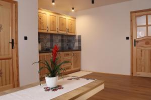 Dapur atau dapur kecil di Apartament Pod Magurą