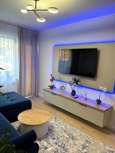 ブラショヴにあるALBERT RESIDENCE APARTHOTEL GRAND CHALET with special rate to SPA Alpin Resortのソファと薄型テレビのあるリビングルーム