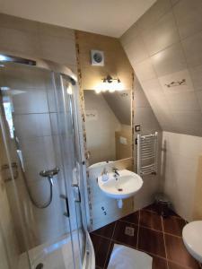 a bathroom with a shower and a sink at Willa WIDOKOWA CUDZICH in Zakopane