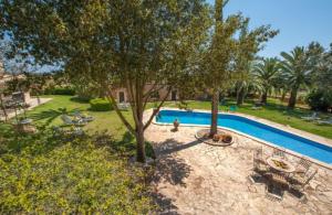 une image d'une piscine avec des arbres et des chaises dans l'établissement Doppelzimmer Vendaval Es Llobets, à Llucmajor