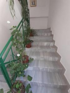 Fotografie z fotogalerie ubytování Villa-Hotel Ludianna v destinaci Golem