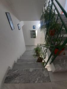 Fotografie z fotogalerie ubytování Villa-Hotel Ludianna v destinaci Golem