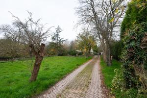 a dirt road in a field with trees at Over Lane in Almondsbury