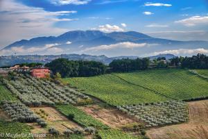 Paisaje cerca de este bed & breakfast