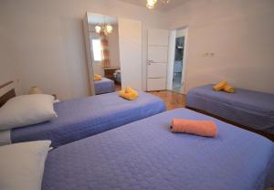 2 blaue Betten in einem Zimmer mit Spiegel in der Unterkunft House Branka in Vir