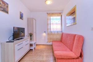 TV a/nebo společenská místnost v ubytování Apartments Nada