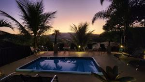a swimming pool with chairs and palm trees on a patio at Chalé Sunset in Miguel Pereira