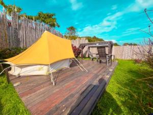 Glamping La Pau外面的花园