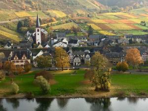 ブルッティヒ・ファンケルにあるApartment Mosel-Götterlayの教会と川のある小さな町