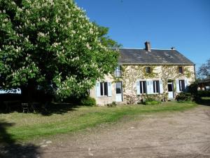 an old stone house with a tree in front of it at Chambres confortables et jardin ombragé dans une ferme du XIXème siècle près de Châteauroux - FR-1-591-699 in Montchevrier
