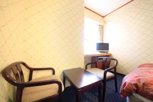 TV a/nebo společenská místnost v ubytování Niigata Station Hotel