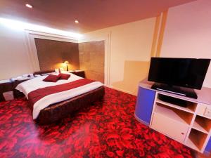 TV a/nebo společenská místnost v ubytování HOTEL K's GOMANGOKU adult only + 15 fotografií