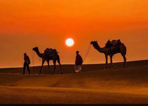 ジャイサルメールにあるPayal Safari Campの二人の男が砂漠で二人のラクダを歩き 夕日を眺めている +53枚の写真