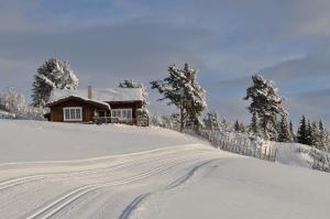 Løstegård Cabins v zimě