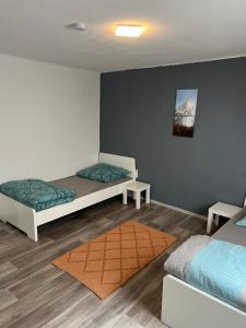 Afbeelding uit fotogalerij van Ringers Pension in Biebesheim