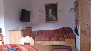 ein Wohnzimmer mit einem Sofa und einem TV in der Unterkunft Apartment Marlene in Alpbach