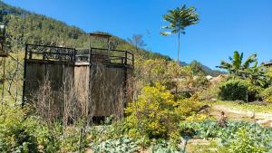 an old building on a hill with a palm tree at Mu Cang Chai Hostel in Mù Cang Chải +101 photos