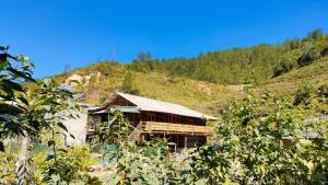 a house on top of a hill with trees at Mu Cang Chai Hostel in Mù Cang Chải
