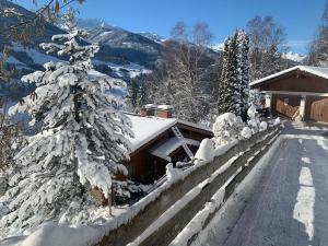 Το TraumLodge τον χειμώνα +11 φωτογραφίες