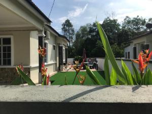 Ein Garten an der Unterkunft DeCherating privatepool
