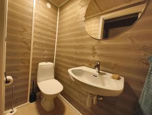a bathroom with a toilet and a sink and a mirror at Hytte-23 Cozy cabin close to Kvitfjell in Fåvang +9 photos