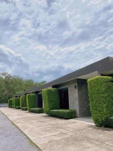 Zahrada ubytování boomresort