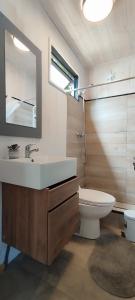a bathroom with a sink and a toilet and a mirror at Cabaña Luna de Lobos in Pichilemu
