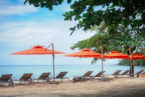 a group of chairs and umbrellas on a beach at Ajinta Resort in Ko Kood