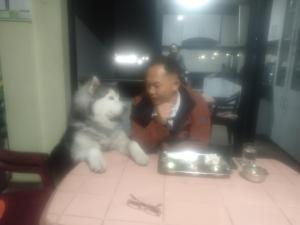Ospiti di Kathmandu Airport View Hotel And Lodge con animali domestici