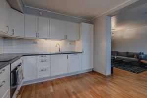 Kuchyň nebo kuchyňský kout v ubytování Longyearbyen Apartment + 17 fotografií