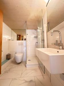 温特图尔Neu! Gemütliche 2,5 Zimmer Wohnung in Winterthur的带水槽、淋浴和马桶的浴室