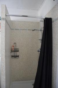 a shower with a black shower curtain in a bathroom at Appartement au Calme in Saint-Cézaire-sur-Siagne +13 photos