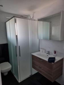 une salle de bain avec toilettes, lavabo et douche dans l'établissement Schöne neue 2,5 Zimmer Wohnung in Savognin, à Savognin