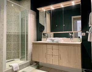 a bathroom with a shower and a sink and a mirror at Coeur de Beaune in Beaune