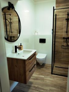 a bathroom with a sink and a toilet and a mirror at Domek na szlaku in Szklarska Poręba