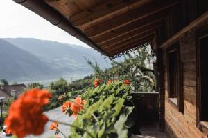 Üldine mäevaade või majutusasutusest Alpen-Chalet-Pankraz pildistatud vaade