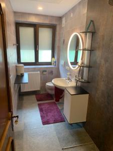a bathroom with a sink and a toilet and a mirror at Ferienwohnung Walker in Oberdrauburg
