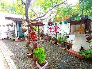 a garden with a lot of plants and a statue at Ramesh Guesthouse in Mirissa