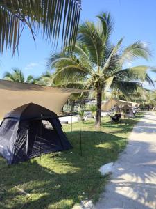 Příroda nedaleko luxury tent
