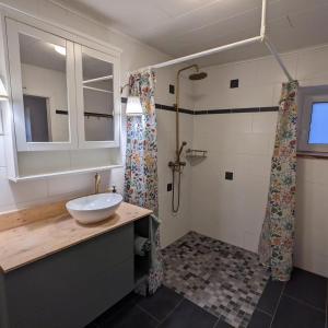 a bathroom with a sink and a shower at Hoffmanns Eden Ferienhaus in Hermeskeil