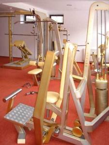 Fitness centrum a/nebo fitness zařízení v ubytování Hotel Regina